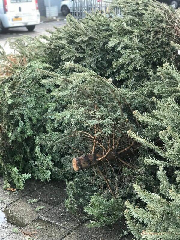 Upcycle Christmas Tree